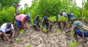 Inside Kenya’s growing battle to save mangrove forests