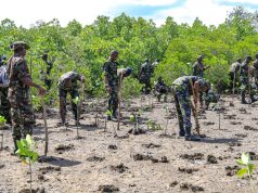 Defending Coastline: Inside the battle to save Kenya’s mangrove ecosystems