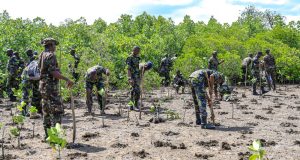 Defending Coastline: Inside the battle to save Kenya’s mangrove ecosystems