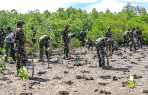 Defending Coastline: Inside the battle to save Kenya’s mangrove ecosystems