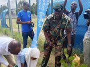 Beyond the Hive: Kenya renews call to protect bees- pollinators face threats