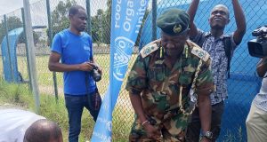 Beyond the Hive: Kenya renews call to protect bees- pollinators face threats