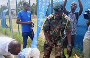 Beyond the Hive: Kenya renews call to protect bees- pollinators face threats