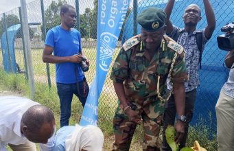 Beyond the Hive: Kenya renews call to protect bees- pollinators face threats