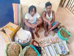 Two suspected drug dealers arrested in Kilifi
