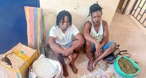 Two suspected drug dealers arrested in Kilifi