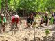 100,000 mangroves planted in Kwale- communities fighting climate change