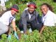 Forest restoration efforts intensify as Kenya rattles degradation