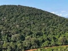 Mrima Mining Debate: Questions over environment, rights and Kwale’s future