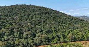 Mrima Mining Debate: Questions over environment, rights and Kwale’s future