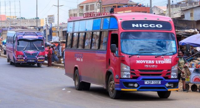NICCO SACCO