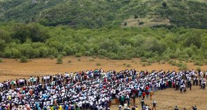 Kenya sets Guinness World Record in Mombasa mangrove planting drive