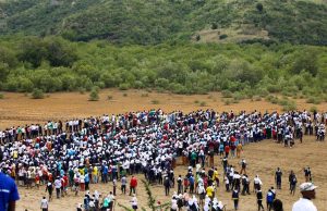 Kenya sets Guinness World Record in Mombasa mangrove planting drive