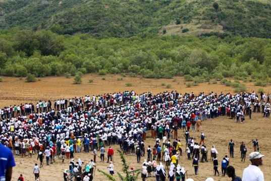 Kenya sets Guinness World Record in Mombasa mangrove planting drive