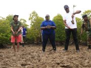 Kwale communities eye ecotourism after mangrove restoration