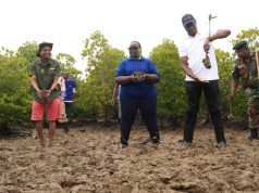 Kwale communities eye ecotourism after mangrove restoration