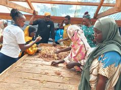 Guardians of the Coast: How communities are redefining conservation in Kwale