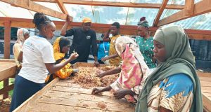 Guardians of the Coast: How communities are redefining conservation in Kwale