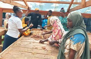 Guardians of the Coast: How communities are redefining conservation in Kwale