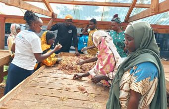Guardians of the Coast: How communities are redefining conservation in Kwale