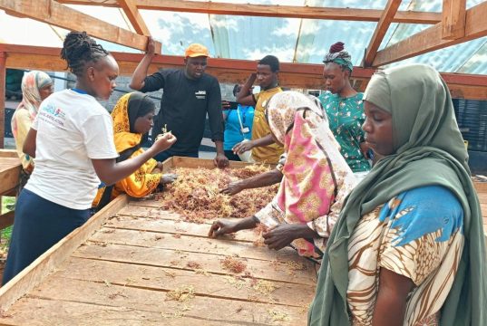 Guardians of the Coast: How communities are redefining conservation in Kwale