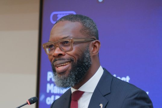 Africa’s sustainability targets face execution gap as projects struggle to deliver results