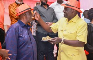 UDA-ODM Alliance faces real test as 2027 power-sharing battle takes shape