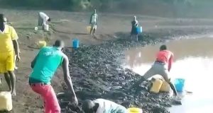 Bamba residents scrambling for dirty water for consumption