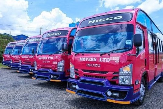 Nicco movers licence suspended over safety failures