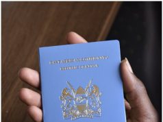 Kenya among world’s most welcoming countries as passport mobility reaches 75