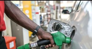 Fuel prices hold steady as regional price gap persists