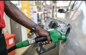 Fuel prices hold steady as regional price gap persists