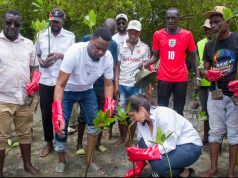 Mombasa community steps up Tudor Creek restoration