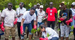 Mombasa community steps up Tudor Creek restoration