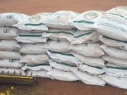 KRA seizes 52.5 tonnes of suspected smuggled sugar in Turkana, Kakamega