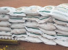 KRA seizes 52.5 tonnes of suspected smuggled sugar in Turkana, Kakamega