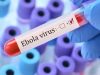 Kenya confirms first Ebola case as Health teams trace 55 contacts