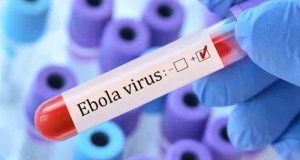 Kenya confirms first Ebola case as Health teams trace 55 contacts